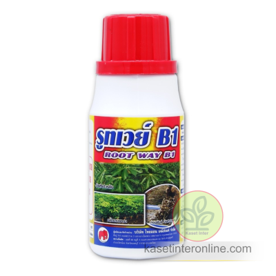 รูทเวย์ เร่งราก กระชากกอ