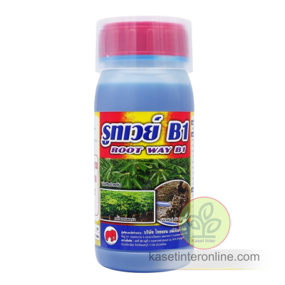 รูทเวย์ เร่งราก กระชากกอ