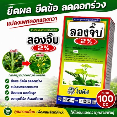 ลองจิ๊บ 2% (Long Gibb 2%)