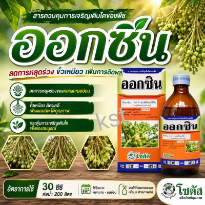 ออกซิน (Auxin)