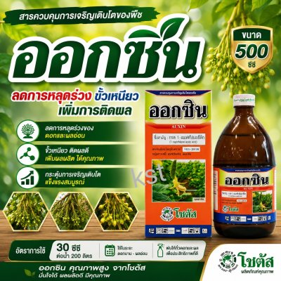 ออกซิน (Auxin)