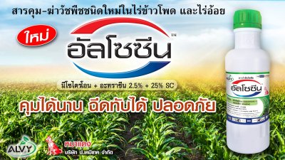 อัลโซซีน Mesotrione + Atrazine 2.5% + 25% W/V SC