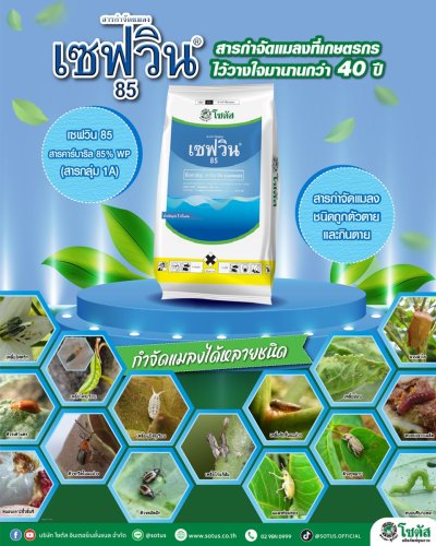 เซฟวิน 85 (Sevin 85)