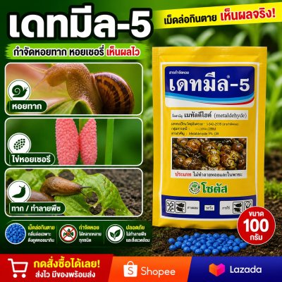 เดทมีล-5 (Deadmeal-5)