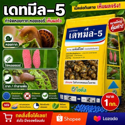 เดทมีล-5 (Deadmeal-5)