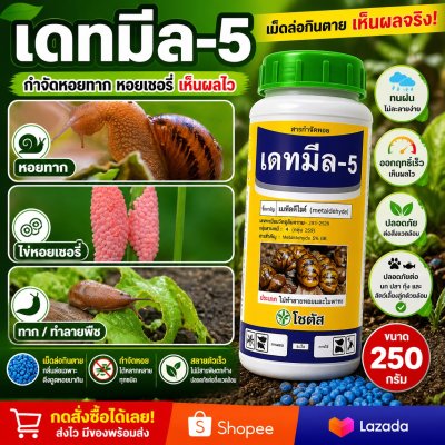 เดทมีล-5 (Deadmeal-5)