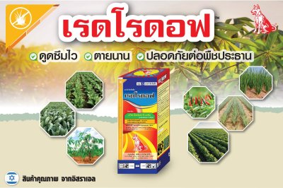 เรดโรดอฟ Quizalofop-P-ethyl 5% W/V