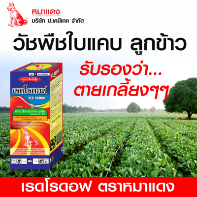เรดโรดอฟ Quizalofop-P-ethyl 5% W/V