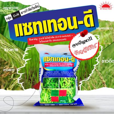แซทเทอน - ดี 2,4-ดี-ไอโซบิวทิล (2,4-D isobutyl) + ไทโอเบนคาร์บ (Thiobencarb) 2% + 5% GR