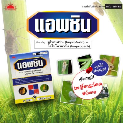 แอพซิน บูโพรเฟซิน (Buprofezin) + ไอโซโพรคาร์บ (Isoprocarb) 5% + 20% WP