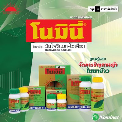 โนมินี่+ซันบินเดอร์