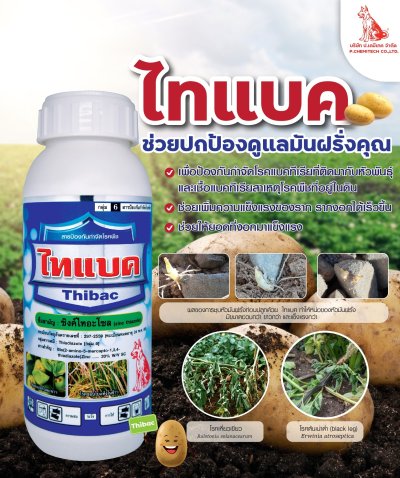 ไทแบค (Zinc Thiazole 20% SC)