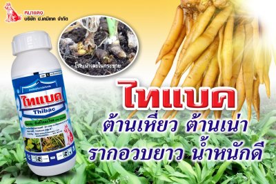 ไทแบค (Zinc Thiazole 20% SC)