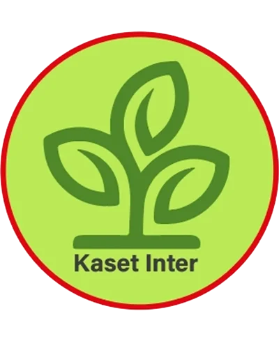 ช้างไทแดน 6จี