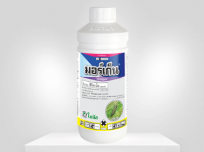 มอร์เก็น (Moregain)