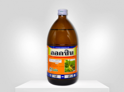 ออกซิน (Auxin)