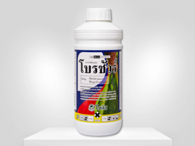 โบรชัวร์ (Brochure)