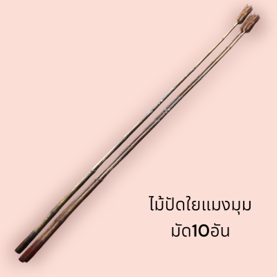 ไม้ปัดใยแมงมุม มัด10อัน