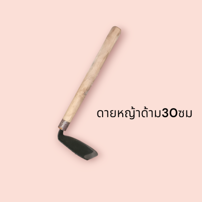 ดายหญ้าด้ามเหล็ก 30ซม(ชิ้น)