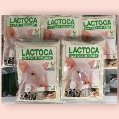 นมผงแลคโตคา 1 กก  (ถุง)