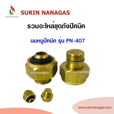 รวมอะไหล่ถังแก๊สปิคนิค อะไหล่แก๊สปิคนิค