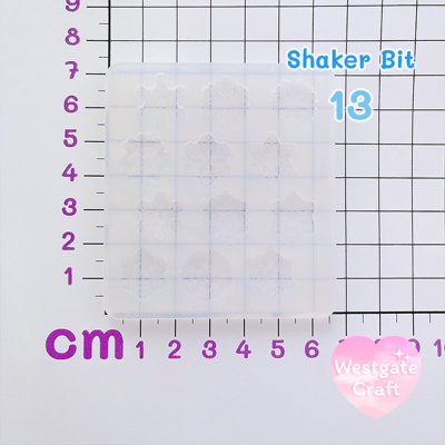 แม่พิมพ์เรซิ่น Shaker Bit 13