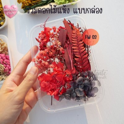 รวมดอกไม้แห้ง แบบกล่อง คละขนาด FW 01-07 , ดอกไม้แห้งจริง