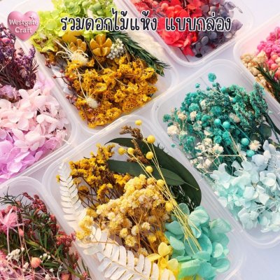 รวมดอกไม้แห้ง แบบกล่อง คละขนาด FW 01-07 , ดอกไม้แห้งจริง