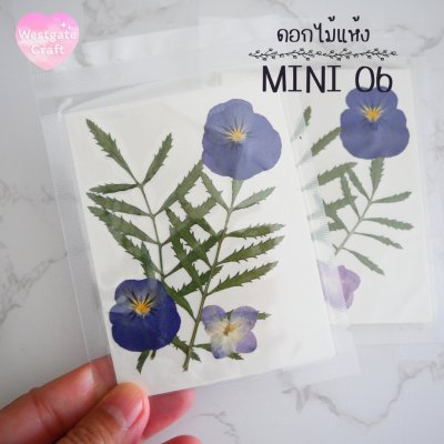 รวมดอกไม้แห้ง Mini ดอกไม้แห้งทับ ดอกไม้แบบคละ ดอกไม้จริง ดอกไม้งานฝีมือ