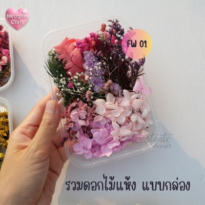 รวมดอกไม้แห้ง แบบกล่อง คละขนาด FW 01-07 , ดอกไม้แห้งจริง