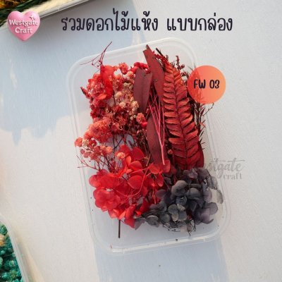 รวมดอกไม้แห้ง แบบกล่อง คละขนาด FW 01-07 , ดอกไม้แห้งจริง