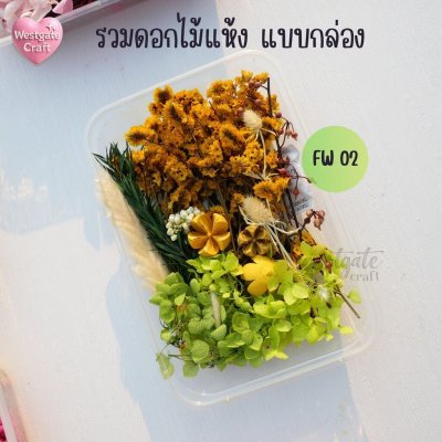 รวมดอกไม้แห้ง แบบกล่อง คละขนาด FW 01-07 , ดอกไม้แห้งจริง