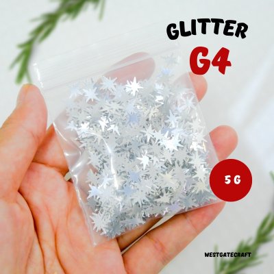 กลิตเตอร์ GT4  /  5 กรัม