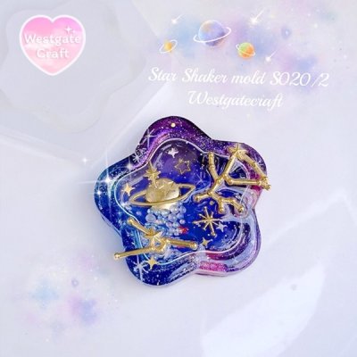 แม่พิมพ์ซิลิโคน Shaker S020/2 ดาว 5 แฉก A แบบกลวง