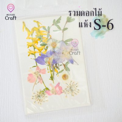 รวมดอกไม้แห้ง S ดอกไม้แห้งทับ ดอกไม้แบบคละ