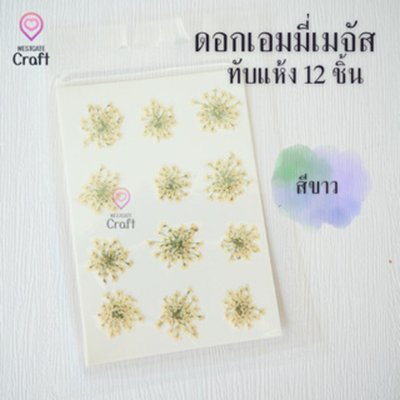 ดอกเอมมี่เมจัส 12 ดอก ดอกไม้แห้งทับ