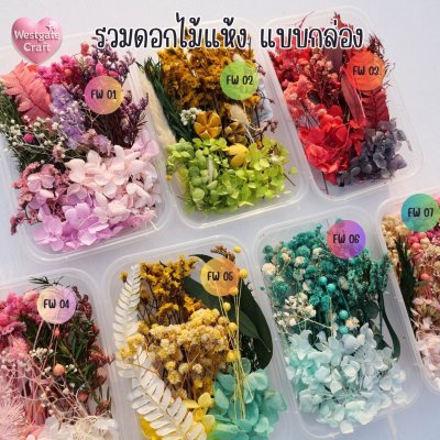 รวมดอกไม้แห้ง แบบกล่อง คละขนาด FW 01-07 , ดอกไม้แห้งจริง