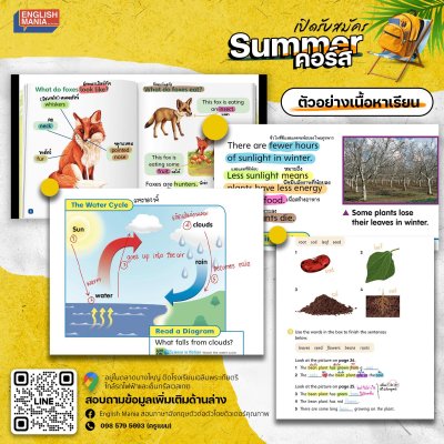 Summer Apr'25Day