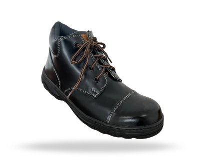 SAFETY SHOES WOLF MODEL WR-880SGTC