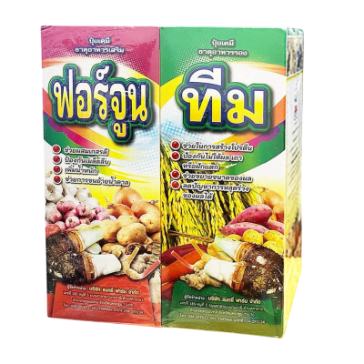 ฟอร์จูนทีม