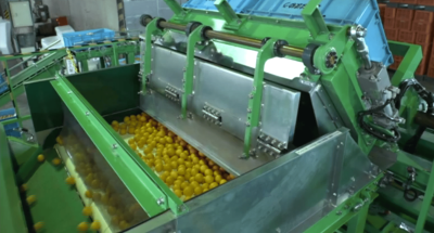 Agricultural Products