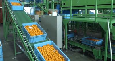 Agricultural Products