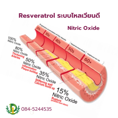 resveratrol resveratrol