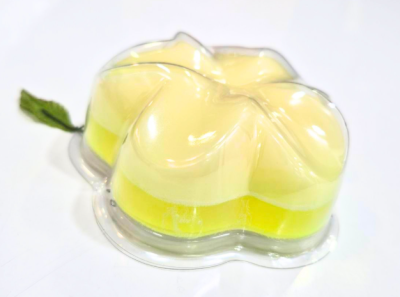 Creamy Coconut Blend Soap