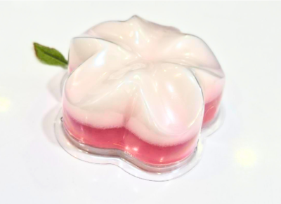 Creamy Coconut Blend Soap