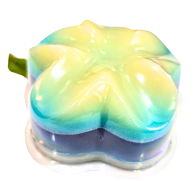 Creamy Coconut Blend Soap