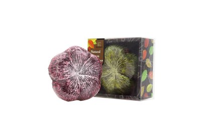 Herb Basics Natural Bamboo Charcoal Room Deodorant