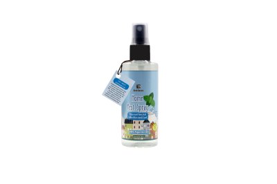 Herb Basics Peppermint Home Pest Spray – Natural Insect & Ant Repellent