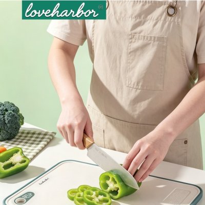 LoveHarbor LH0162 Antibacterial Antiskid Chopping Block (26.1x20.1x0.8 cm)