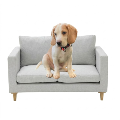โซฟาสัตว์เลี้ยงระดับพรีเมียม (Luxury Pet Sofa) ดีไซน์มินิมอล นุ่มสบาย แข็งแรงทนทาน สำหรับสุนัขและแมว BR6001, BR6002